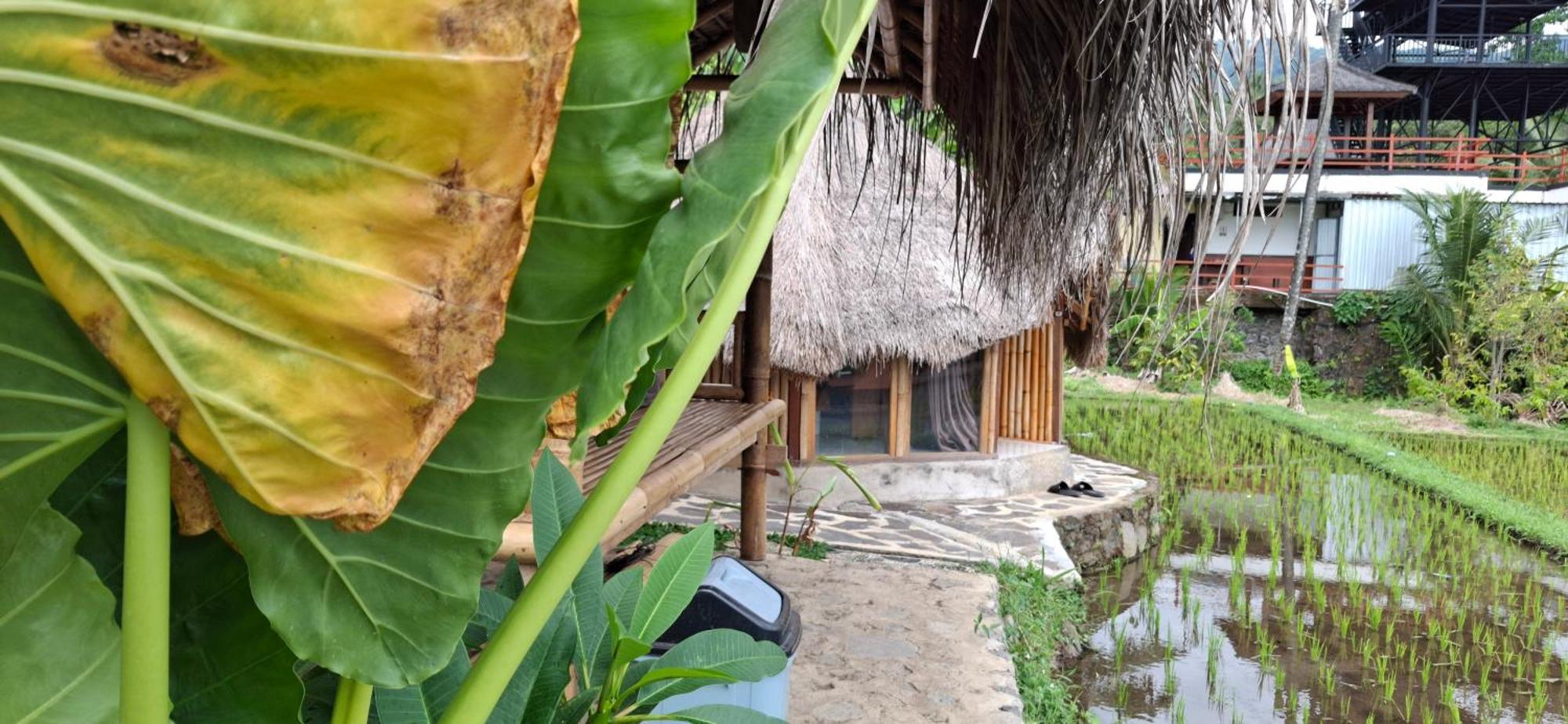 Uma Nirmala Aling-Aling Hotel Singaraja  Ngoại thất bức ảnh