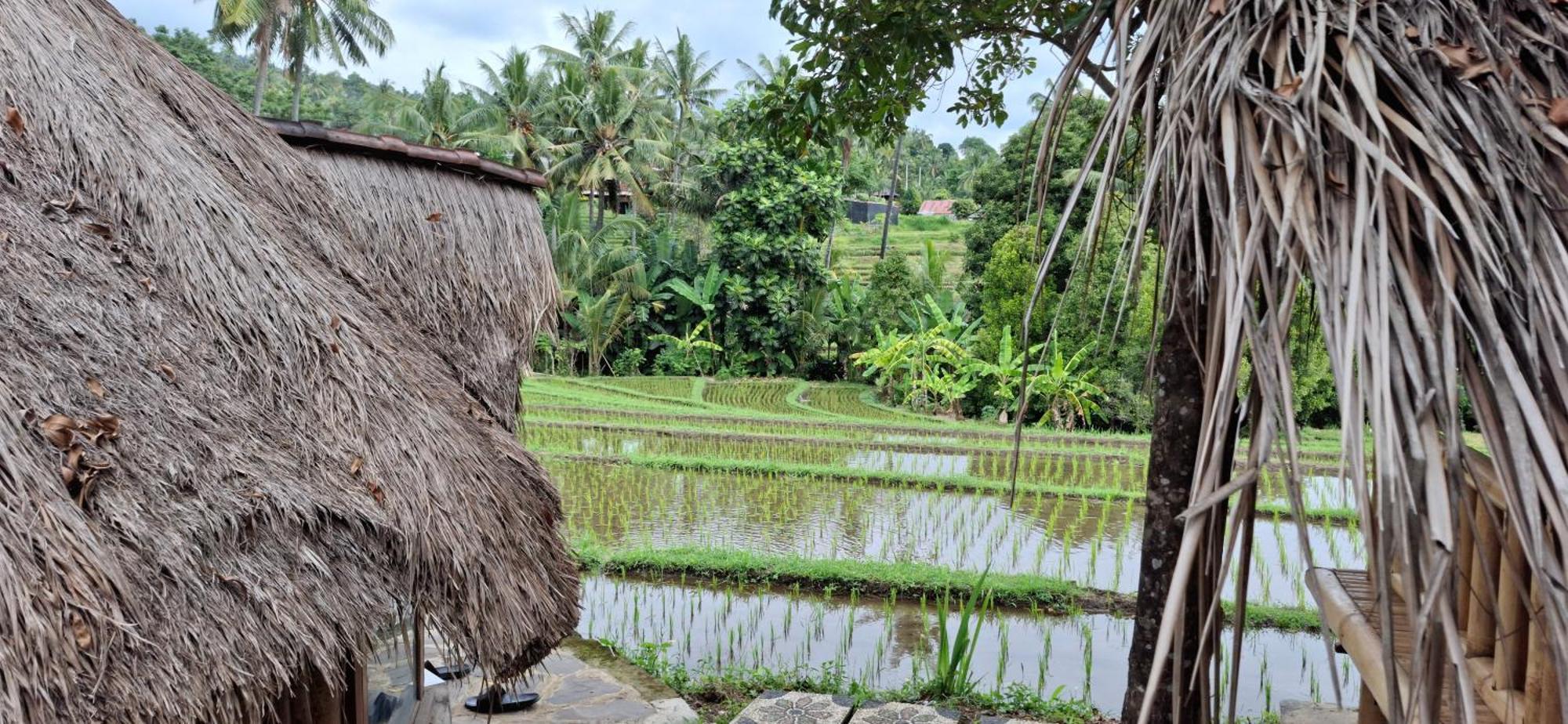 Uma Nirmala Aling-Aling Hotel Singaraja  Ngoại thất bức ảnh