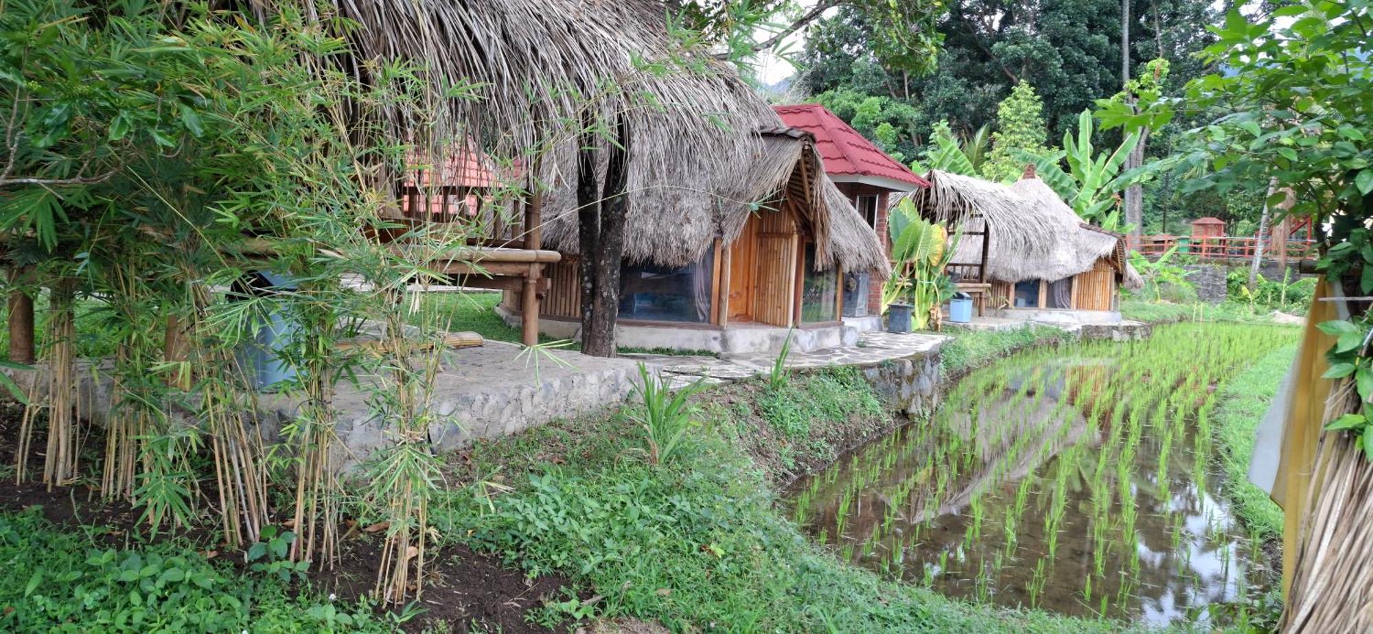 Uma Nirmala Aling-Aling Hotel Singaraja  Ngoại thất bức ảnh